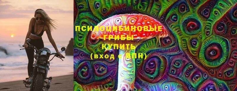 Галлюциногенные грибы MAGIC MUSHROOMS  KRAKEN зеркало  Тольятти 